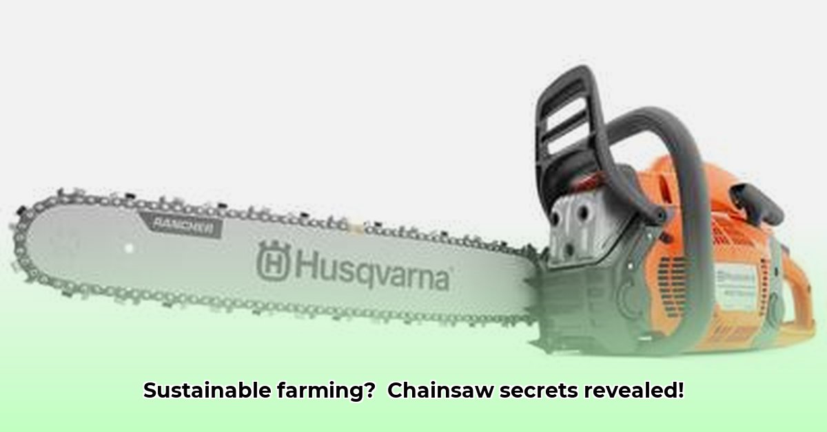chainsaw-at-tractor-supply